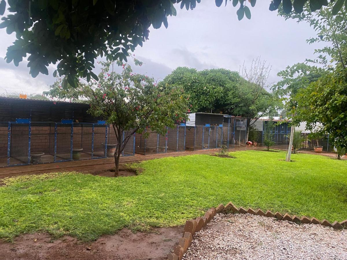 El-Kole Bed And Breakfast Tsumeb Extérieur photo